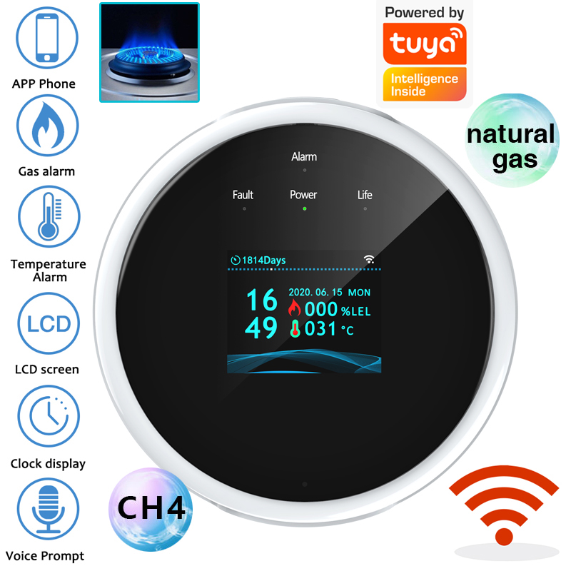 Home Security Network - Sensor Alarm Gas WiFi 2.4G Detektor