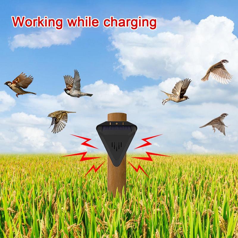 Pengusir Burung Pengatur Waktu - Barking Dog Alarm ulasan dan harga