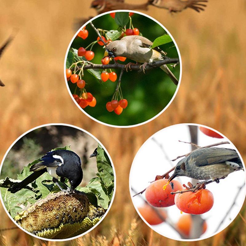 Pengusir Burung Pengatur Waktu - Barking Dog Alarm ulasan dan harga