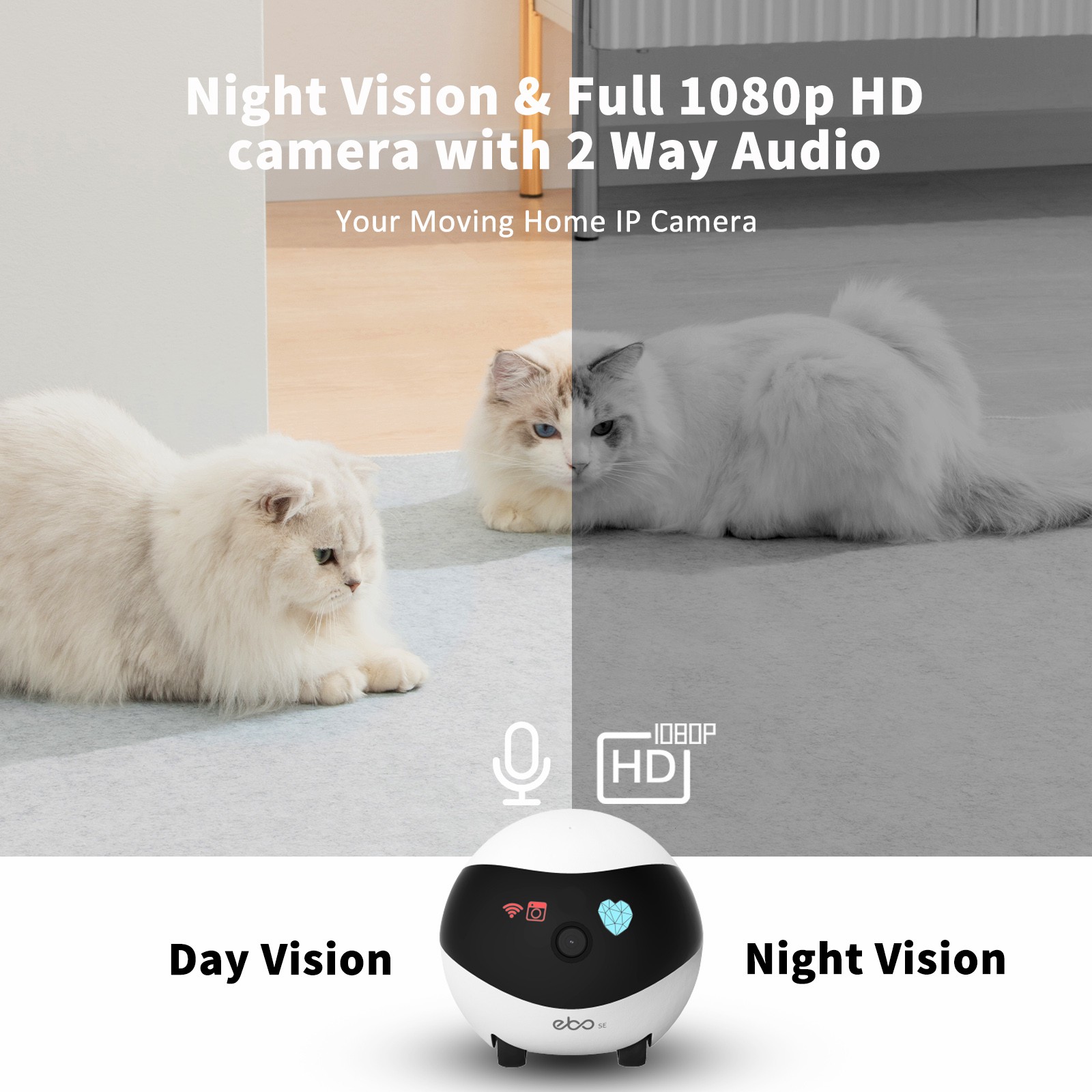Robot Pendamping Rumah Pintar  - Home Security Robot ulasan dan harga