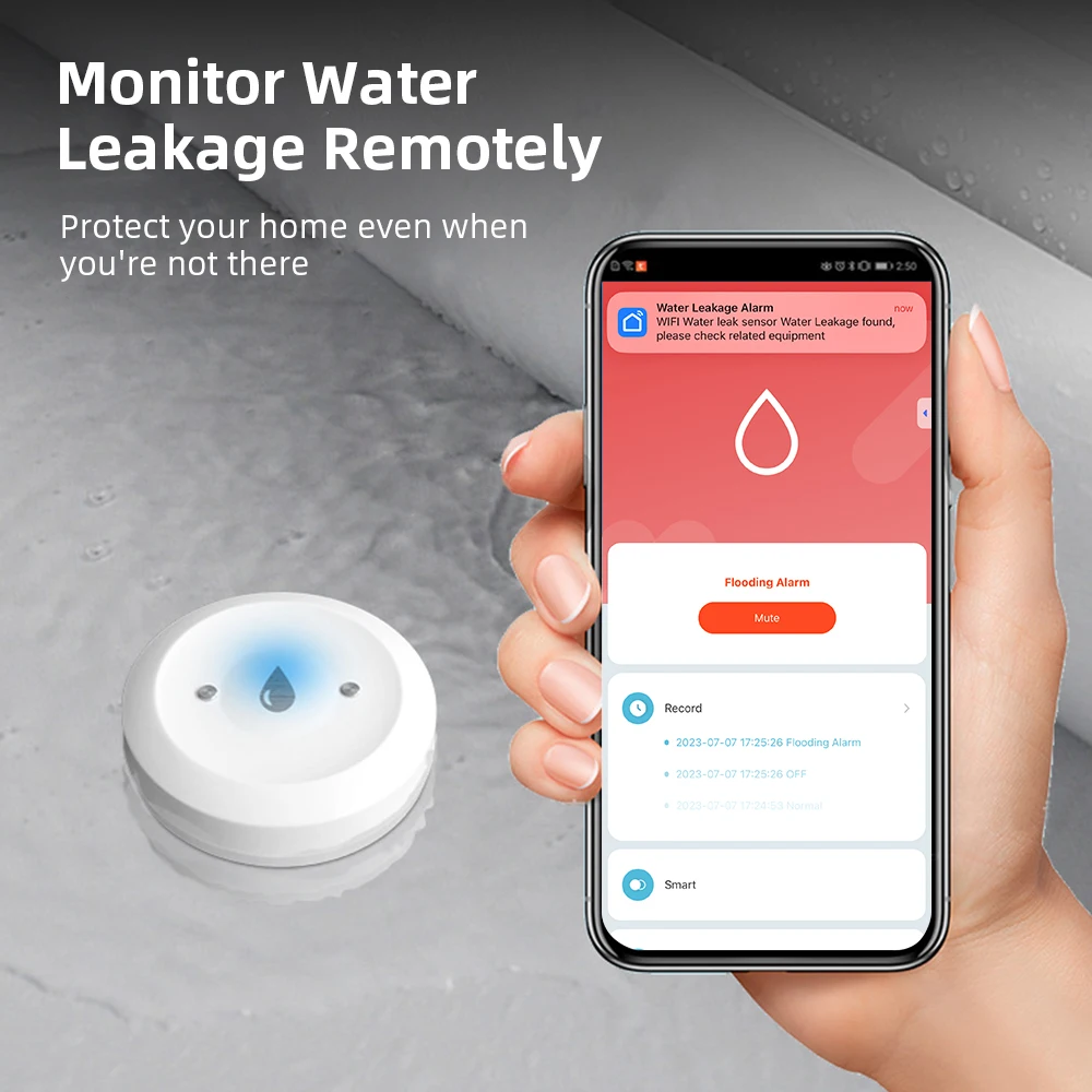 Zigbee3.0 Sensor Kebocoran Air - Home Security Monitor ulasan dan harga