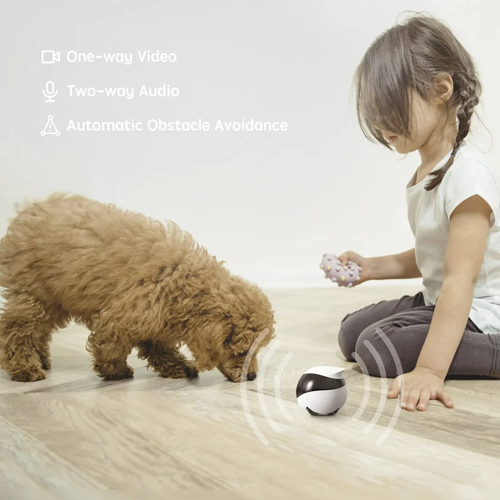 SE Robot Kamera untuk Anjing K - Home Security Robot Dog ulasan dan harga