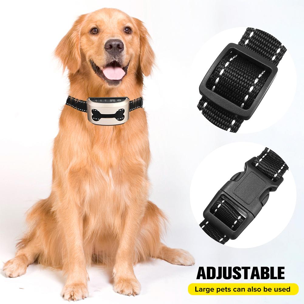 Kerah Kontrol Anjing Anti Gong - Barking Dog Alarm ulasan dan harga