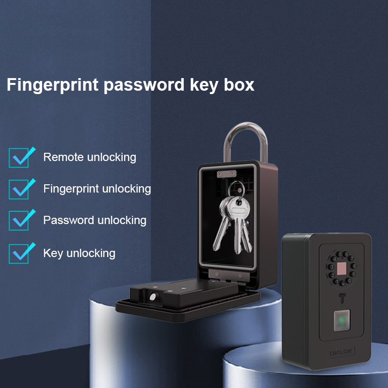 Kotak Penyimpanan Kata Sandi D - Home Security Locks ulasan dan harga