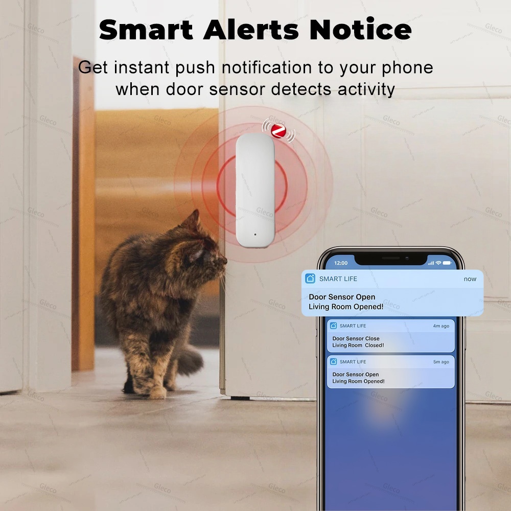 Tuya Zigbee Sensor Pintu Jende - Home Security Technology ulasan dan harga